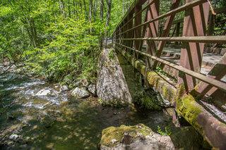 Filename=DSC_2100.jpg
Filesize=32460KiB
Dimensions=7360x4912
Date added=Sep 20, 2019 DSC_2100.jpg