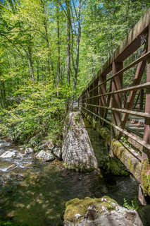 Filename=DSC_2101.jpg
Filesize=35339KiB
Dimensions=4912x7360
Date added=Sep 20, 2019 DSC_2101.jpg