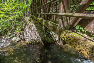 Filename=DSC_2103.jpg
Filesize=30206KiB
Dimensions=7360x4912
Date added=Sep 20, 2019 DSC_2103.jpg