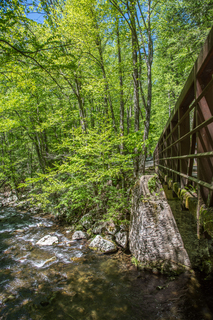 Filename=DSC_2104.jpg
Filesize=41723KiB
Dimensions=4831x7239
Date added=Sep 20, 2019 DSC_2104.jpg