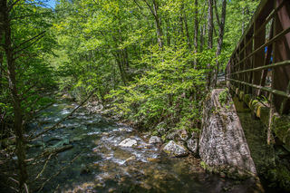 Filename=DSC_2105.jpg
Filesize=37435KiB
Dimensions=7360x4912
Date added=Sep 20, 2019 DSC_2105.jpg