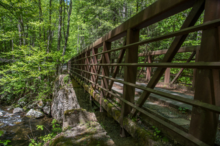 Filename=DSC_2108.jpg
Filesize=28892KiB
Dimensions=7360x4912
Date added=Sep 20, 2019 DSC_2108.jpg