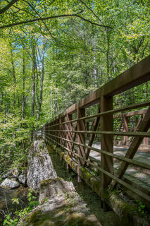 Filename=DSC_2109.jpg
Filesize=33342KiB
Dimensions=4912x7360
Date added=Sep 20, 2019 DSC_2109.jpg