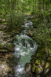 Filename=DSC_2112.jpg
Filesize=33571KiB
Dimensions=4912x7360
Date added=Sep 20, 2019 DSC_2112.jpg