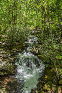 Filename=DSC_2114.jpg
Filesize=39148KiB
Dimensions=4912x7360
Date added=Sep 20, 2019 DSC_2114.jpg