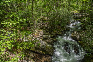 Filename=DSC_2115.jpg
Filesize=37651KiB
Dimensions=7360x4912
Date added=Sep 20, 2019 DSC_2115.jpg