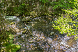 Filename=DSC_2116.jpg
Filesize=34073KiB
Dimensions=6903x4607
Date added=Sep 20, 2019 DSC_2116.jpg