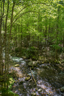 Filename=DSC_2117.jpg
Filesize=41094KiB
Dimensions=4912x7360
Date added=Sep 20, 2019 DSC_2117.jpg