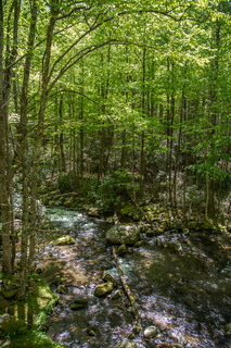 Filename=DSC_2118.jpg
Filesize=37223KiB
Dimensions=4831x7239
Date added=Sep 20, 2019 DSC_2118.jpg