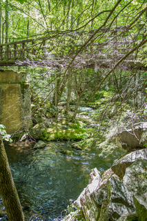 Filename=DSC_2119.jpg
Filesize=30813KiB
Dimensions=4538x6799
Date added=Sep 20, 2019 DSC_2119.jpg