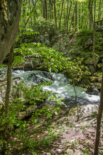 Filename=DSC_2120.jpg
Filesize=29629KiB
Dimensions=4678x7009
Date added=Sep 20, 2019 DSC_2120.jpg