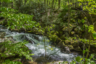 Filename=DSC_2122.jpg
Filesize=24830KiB
Dimensions=6254x4174
Date added=Sep 20, 2019 DSC_2122.jpg