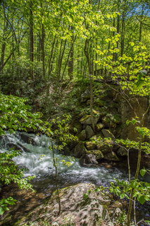 Filename=DSC_2123.jpg
Filesize=41391KiB
Dimensions=4912x7360
Date added=Sep 20, 2019 DSC_2123.jpg