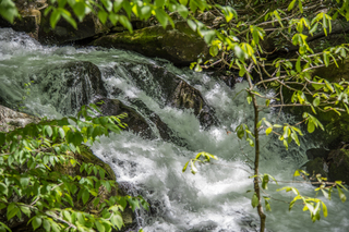 Filename=DSC_2126.jpg
Filesize=23777KiB
Dimensions=7360x4912
Date added=Sep 20, 2019 DSC_2126.jpg