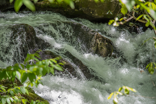 Filename=DSC_2127.jpg
Filesize=23985KiB
Dimensions=7360x4912
Date added=Sep 20, 2019 DSC_2127.jpg