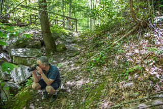 Filename=DSC_2129.jpg
Filesize=28757KiB
Dimensions=7360x4912
Date added=Sep 20, 2019 DSC_2129.jpg