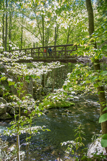 Filename=DSC_2130.jpg
Filesize=32797KiB
Dimensions=4912x7360
Date added=Sep 20, 2019 DSC_2130.jpg