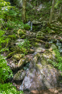 Filename=DSC_2132.jpg
Filesize=35833KiB
Dimensions=4912x7360
Date added=Sep 20, 2019 DSC_2132.jpg