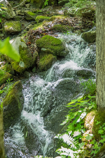 Filename=DSC_2134.jpg
Filesize=28450KiB
Dimensions=4753x7122
Date added=Sep 20, 2019 DSC_2134.jpg