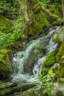 Filename=DSC_2137.jpg
Filesize=37197KiB
Dimensions=4912x7360
Date added=Sep 20, 2019 DSC_2137.jpg