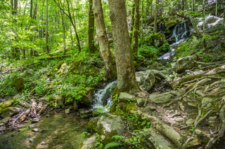 Filename=DSC_2138.jpg
Filesize=28151KiB
Dimensions=7239x4831
Date added=Sep 20, 2019 DSC_2138.jpg