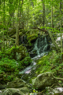 Filename=DSC_2142.jpg
Filesize=36558KiB
Dimensions=4912x7360
Date added=Sep 20, 2019 DSC_2142.jpg