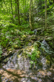 Filename=DSC_2145.jpg
Filesize=36770KiB
Dimensions=4912x7360
Date added=Sep 20, 2019 DSC_2145.jpg