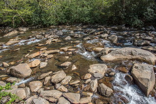 Filename=DSC_2146.jpg
Filesize=33353KiB
Dimensions=7360x4912
Date added=Sep 20, 2019 DSC_2146.jpg