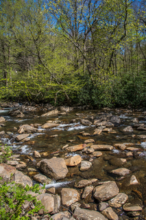 Filename=DSC_2148.jpg
Filesize=32988KiB
Dimensions=4607x6903
Date added=Sep 20, 2019 DSC_2148.jpg