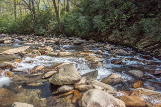 Filename=DSC_2152.jpg
Filesize=37810KiB
Dimensions=7360x4912
Date added=Sep 20, 2019 DSC_2152.jpg