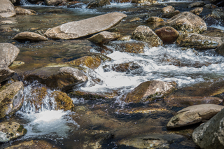 Filename=DSC_2153.jpg
Filesize=22755KiB
Dimensions=7360x4912
Date added=Sep 20, 2019 DSC_2153.jpg