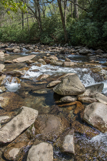 Filename=DSC_2155.jpg
Filesize=28739KiB
Dimensions=4831x7239
Date added=Sep 20, 2019 DSC_2155.jpg