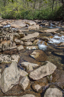 Filename=DSC_2156.jpg
Filesize=31114KiB
Dimensions=4678x7009
Date added=Sep 20, 2019 DSC_2156.jpg