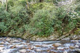 Filename=DSC_2159.jpg
Filesize=33415KiB
Dimensions=7360x4912
Date added=Sep 20, 2019 DSC_2159.jpg