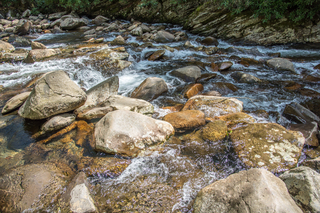 Filename=DSC_2161.jpg
Filesize=30996KiB
Dimensions=7360x4912
Date added=Sep 20, 2019 DSC_2161.jpg