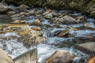 Filename=DSC_2162.jpg
Filesize=27963KiB
Dimensions=7360x4912
Date added=Sep 20, 2019 DSC_2162.jpg