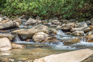 Filename=DSC_2163.jpg
Filesize=27279KiB
Dimensions=7360x4912
Date added=Sep 20, 2019 DSC_2163.jpg