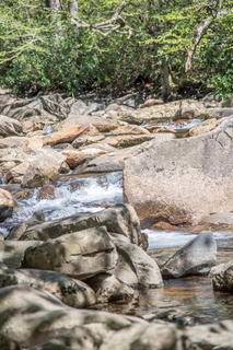 Filename=DSC_2164.jpg
Filesize=22904KiB
Dimensions=4912x7360
Date added=Sep 20, 2019 DSC_2164.jpg