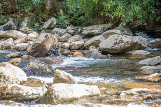 Filename=DSC_2167.jpg
Filesize=26874KiB
Dimensions=7360x4912
Date added=Sep 20, 2019 DSC_2167.jpg