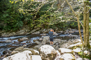 Filename=DSC_2169.jpg
Filesize=22779KiB
Dimensions=7360x4912
Date added=Sep 20, 2019 DSC_2169.jpg