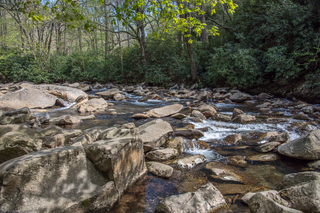 Filename=DSC_2171.jpg
Filesize=29050KiB
Dimensions=7360x4912
Date added=Sep 20, 2019 DSC_2171.jpg