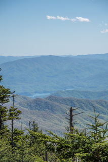 Filename=DSC_2181.jpg
Filesize=18508KiB
Dimensions=4912x7360
Date added=Sep 20, 2019 DSC_2181.jpg