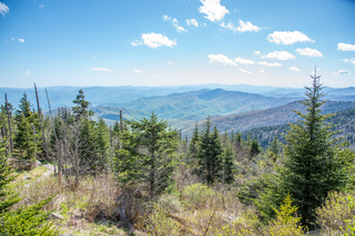 Filename=DSC_2183.jpg
Filesize=32322KiB
Dimensions=7360x4912
Date added=Sep 20, 2019 DSC_2183.jpg