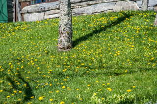 Filename=DSC_2185.jpg
Filesize=33137KiB
Dimensions=7360x4912
Date added=Sep 20, 2019 DSC_2185.jpg