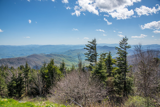 Filename=DSC_2189.jpg
Filesize=27942KiB
Dimensions=7239x4831
Date added=Sep 20, 2019 DSC_2189.jpg