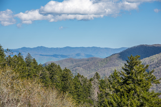 Filename=DSC_2192.jpg
Filesize=28150KiB
Dimensions=7360x4912
Date added=Sep 20, 2019 DSC_2192.jpg