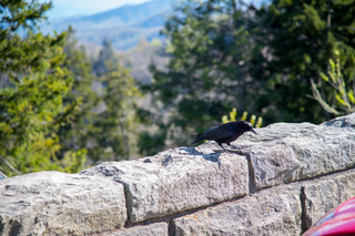 Filename=DSC_2201.jpg
Filesize=20847KiB
Dimensions=7360x4912
Date added=Sep 20, 2019 DSC_2201.jpg