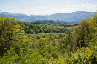 Filename=DSC_2205.jpg
Filesize=39694KiB
Dimensions=7360x4912
Date added=Sep 20, 2019 DSC_2205.jpg