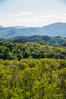 Filename=DSC_2207.jpg
Filesize=37821KiB
Dimensions=4912x7360
Date added=Sep 20, 2019 DSC_2207.jpg