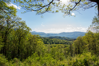 Filename=DSC_2210.jpg
Filesize=38843KiB
Dimensions=7360x4912
Date added=Sep 20, 2019 DSC_2210.jpg